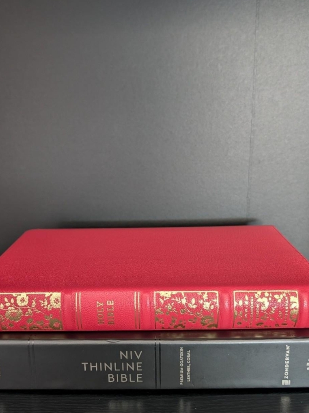 Goatskin NIV Thinline Bible